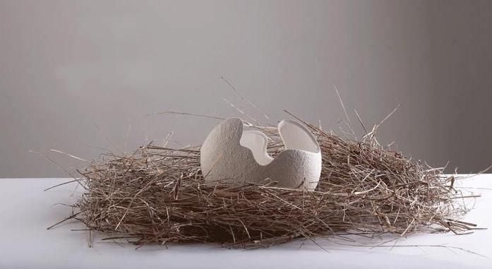 Artisan Broken Egg Vases