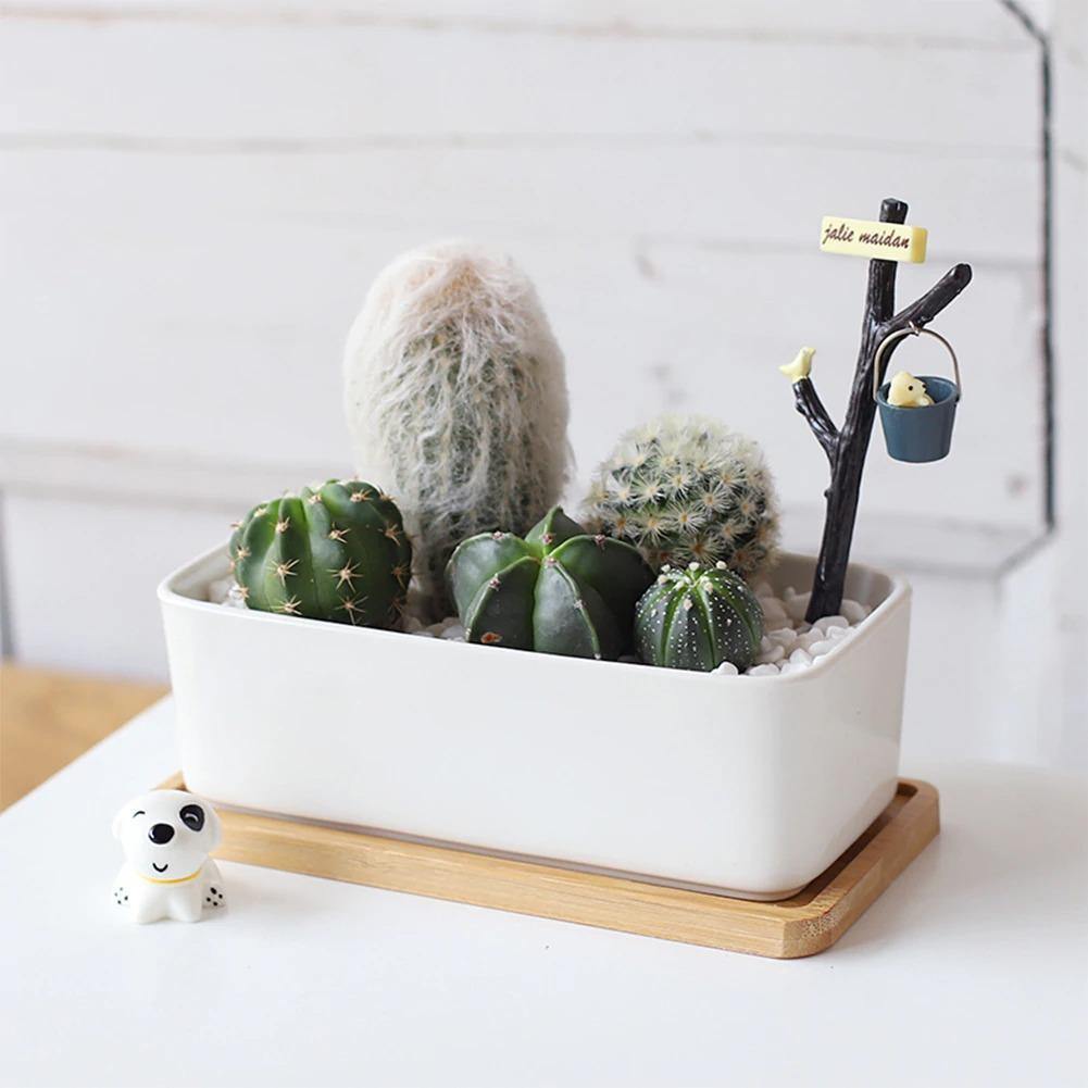 Bamboo Planter Saucer Trays