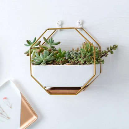 Hexa Frame Wall Planter