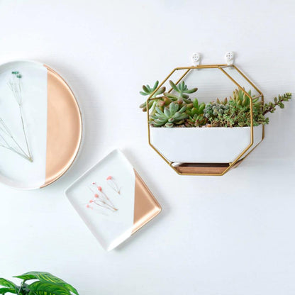 Hexa Frame Wall Planter