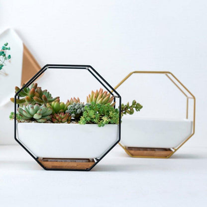 Hexa Frame Wall Planter