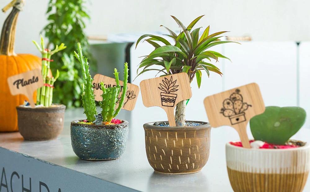 Wooden Plant Label Tags