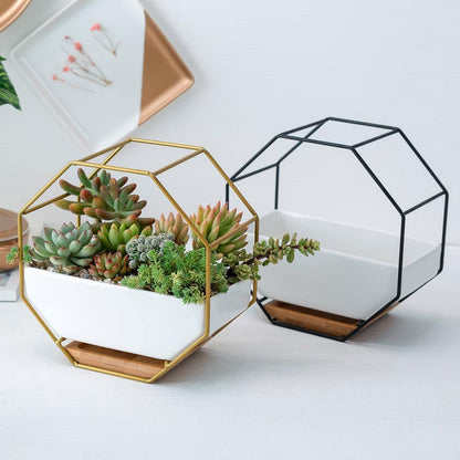 Hexa Frame Wall Planter