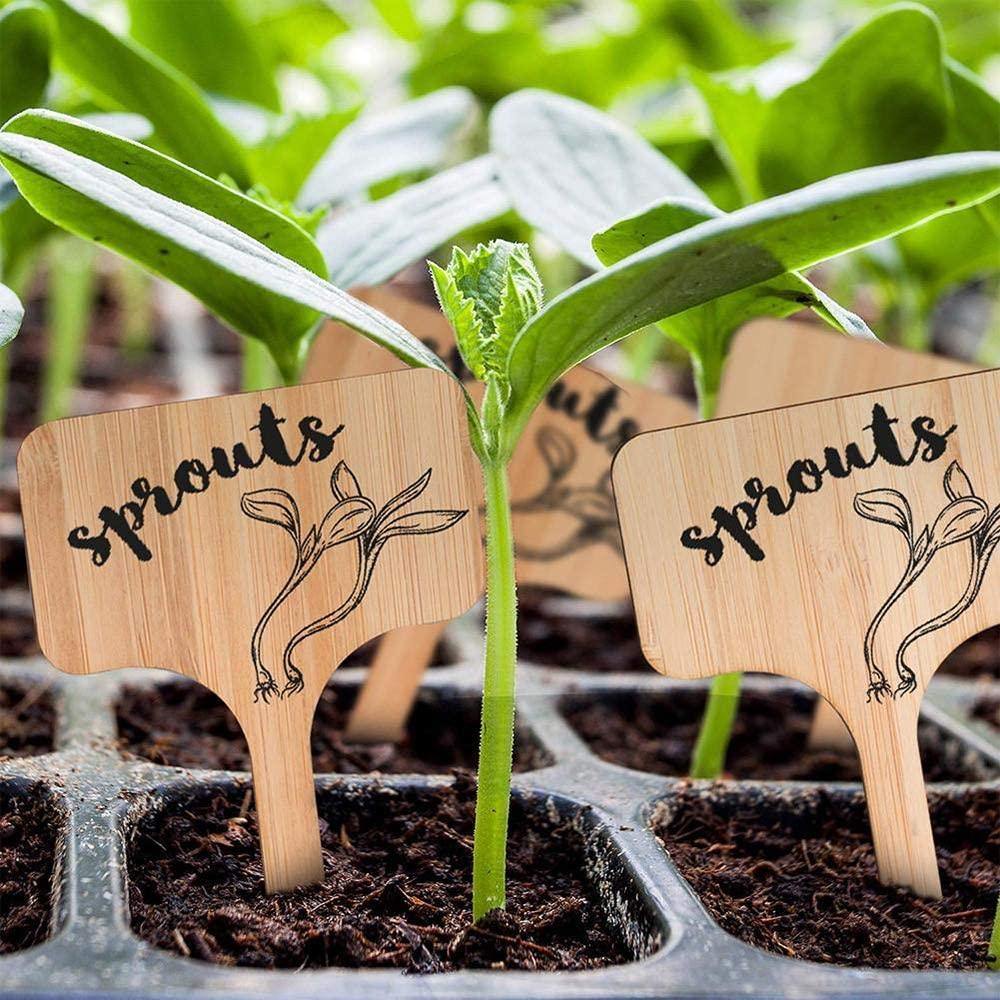 Wooden Plant Label Tags