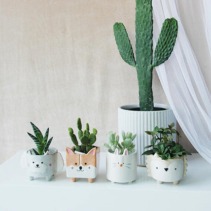 Square Animal Ceramic Succulent Planters