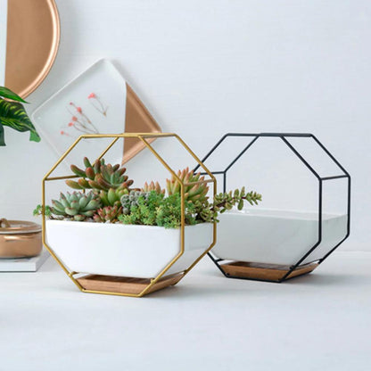 Hexa Frame Wall Planter