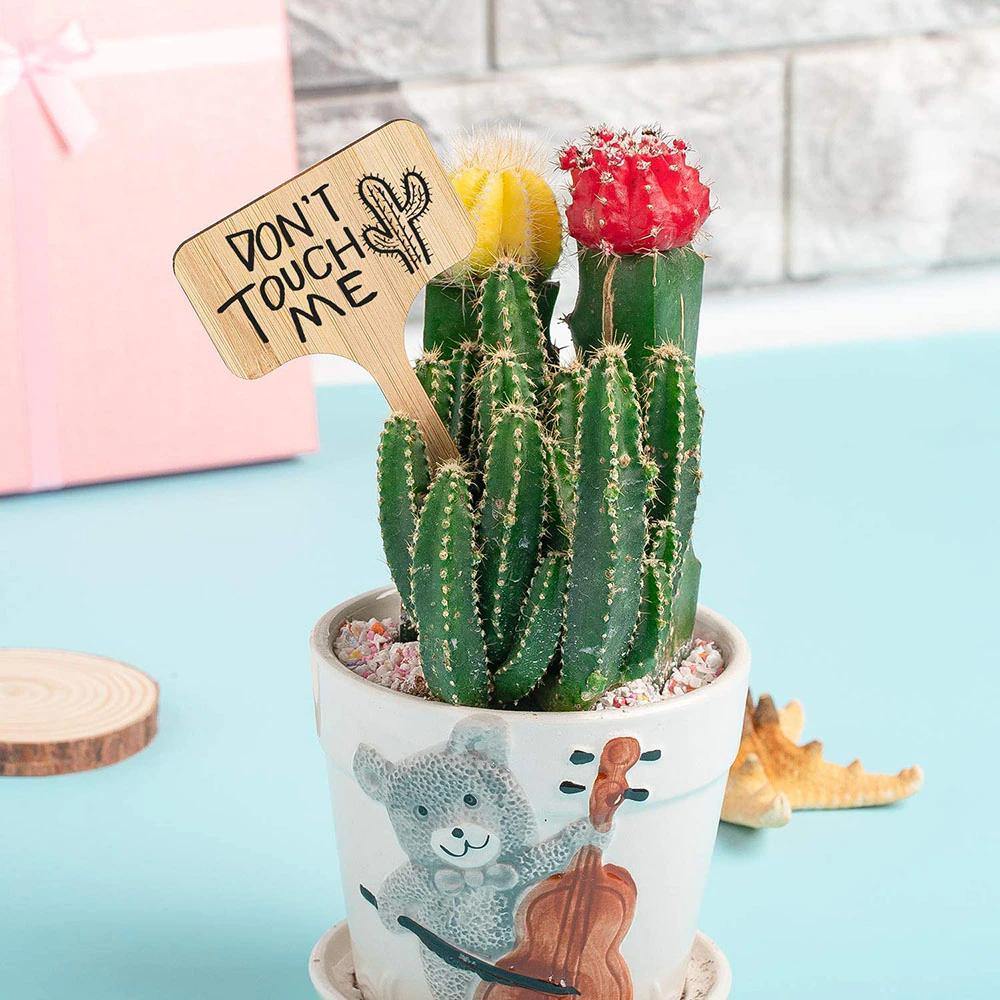 Wooden Plant Label Tags