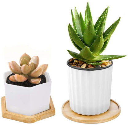 Bamboo Planter Saucer Trays