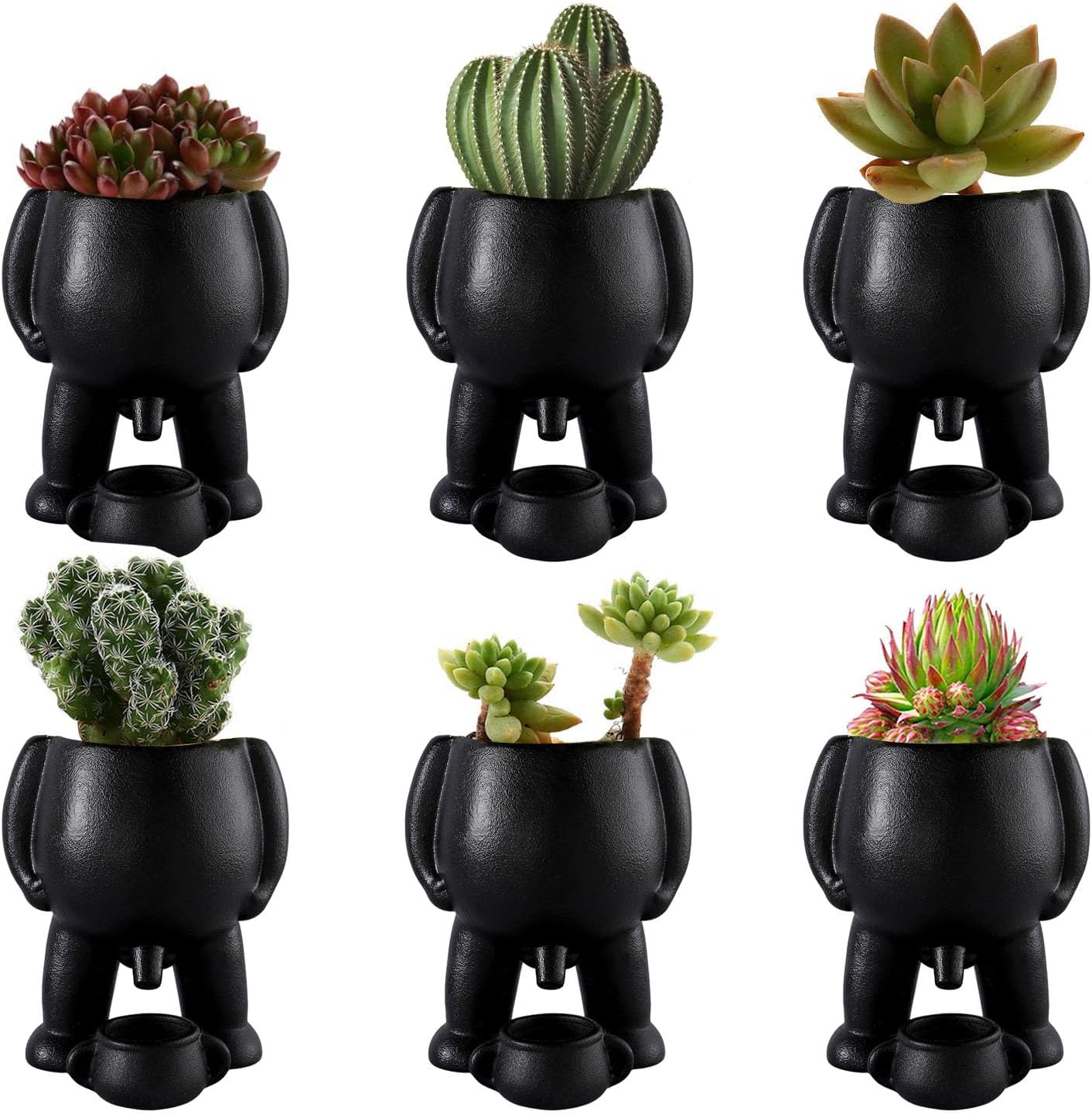 Tinkle Ted™ - The Naughty Planter