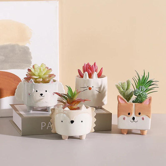 Square Animal Ceramic Succulent Planters