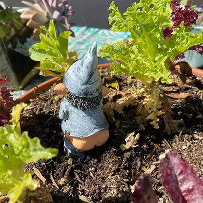Gnaughty Gnome™