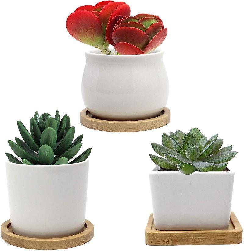 Bamboo Planter Saucer Trays
