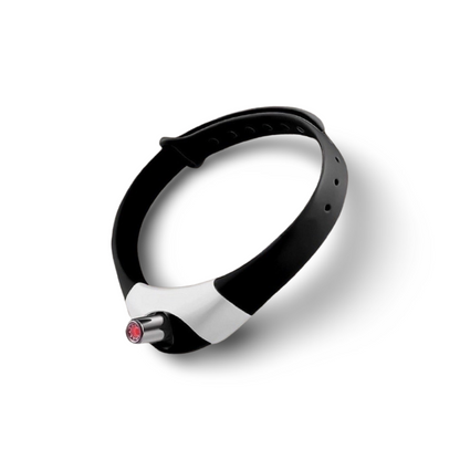 PurrSuit™ - Interactive Laser Collar