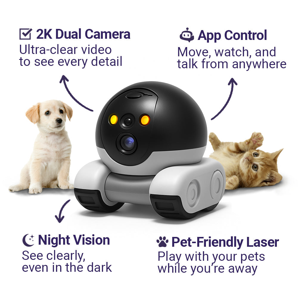 Peepo Bot™ - AI Robot Companion