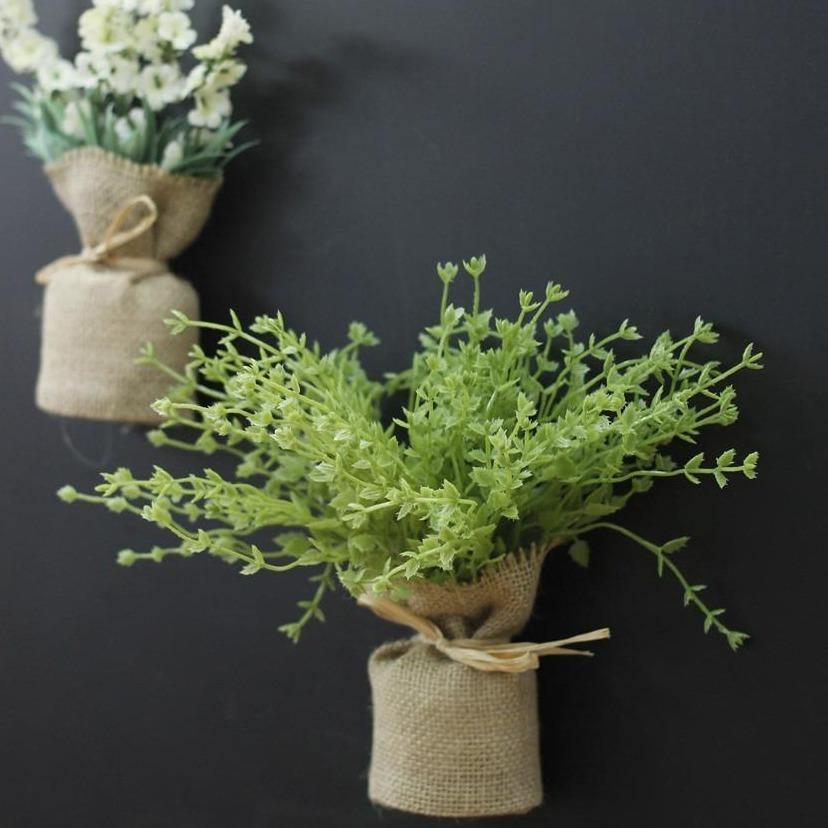 Surrey Compact Magnetic Plants