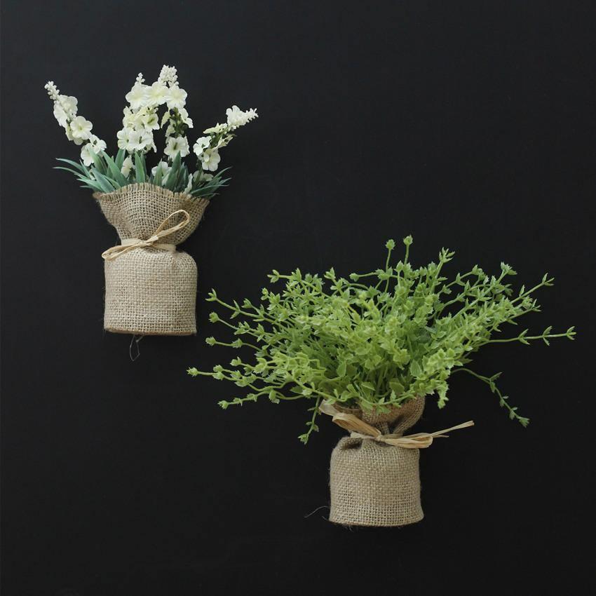 Surrey Compact Magnetic Plants