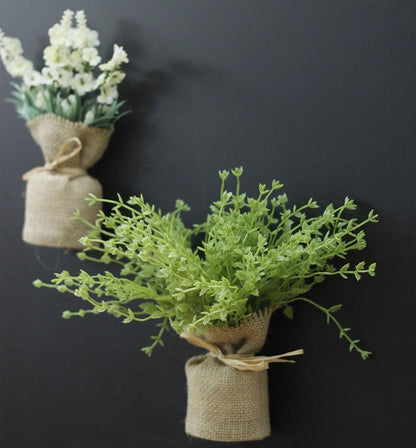 Surrey Compact Magnetic Plants