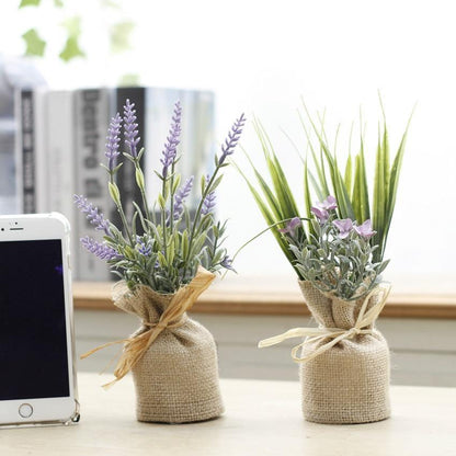 Surrey Compact Magnetic Plants