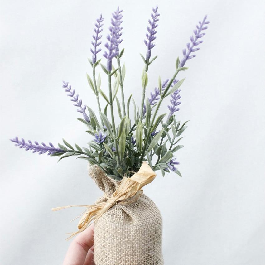 Surrey Compact Magnetic Plants