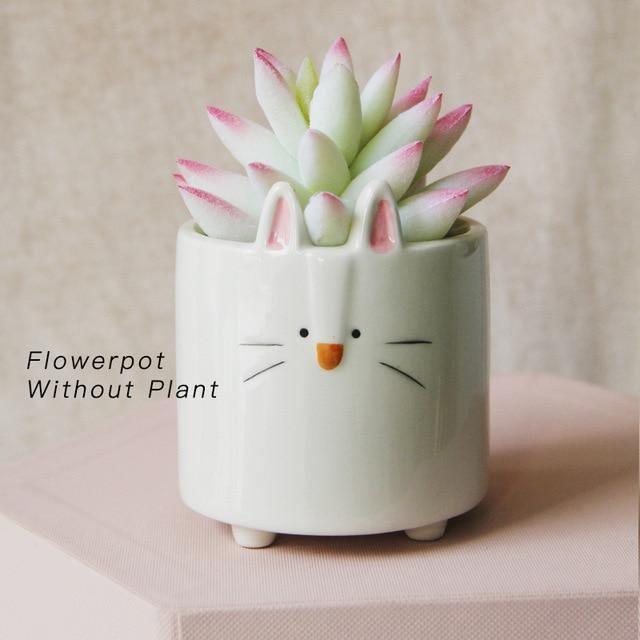 Square Animal Ceramic Succulent Planters