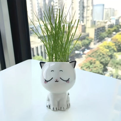 Kitty Planters