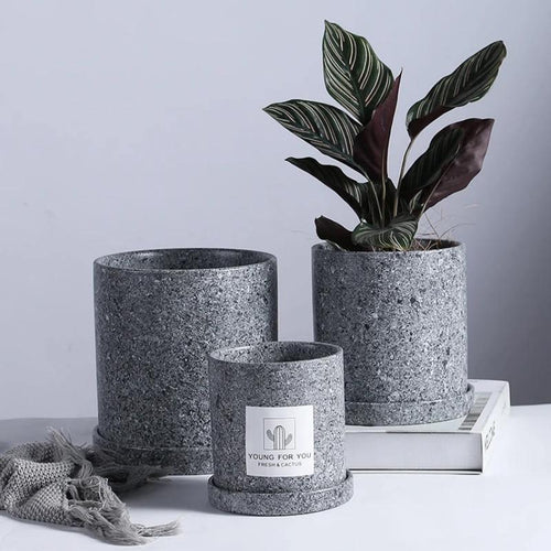 EverVase Planter Collection