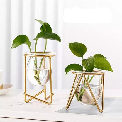 Modern Glass Plant Vase
