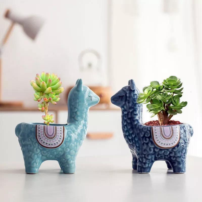 Alpaca Pottery Succulent Planter