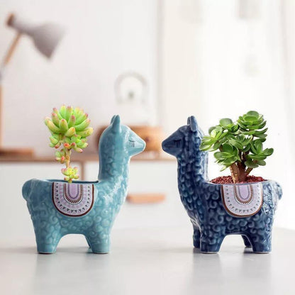 Alpaca Pottery Succulent Planter