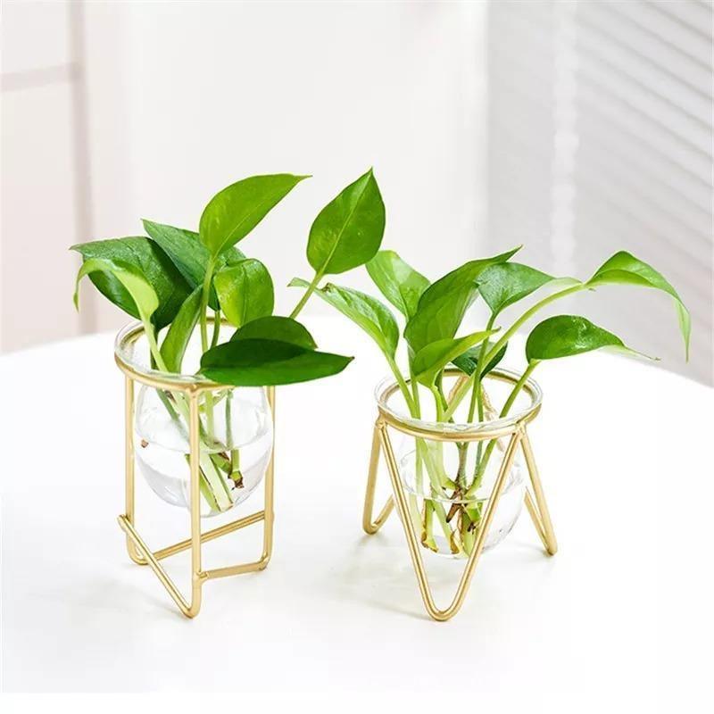 Modern Glass Plant Vase