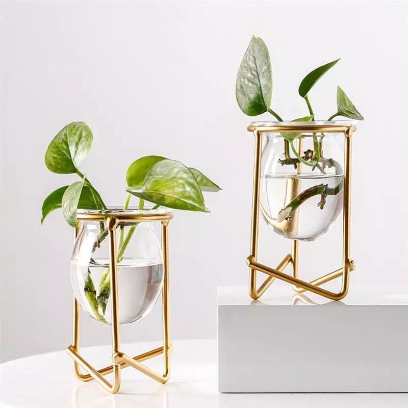 Modern Glass Plant Vase