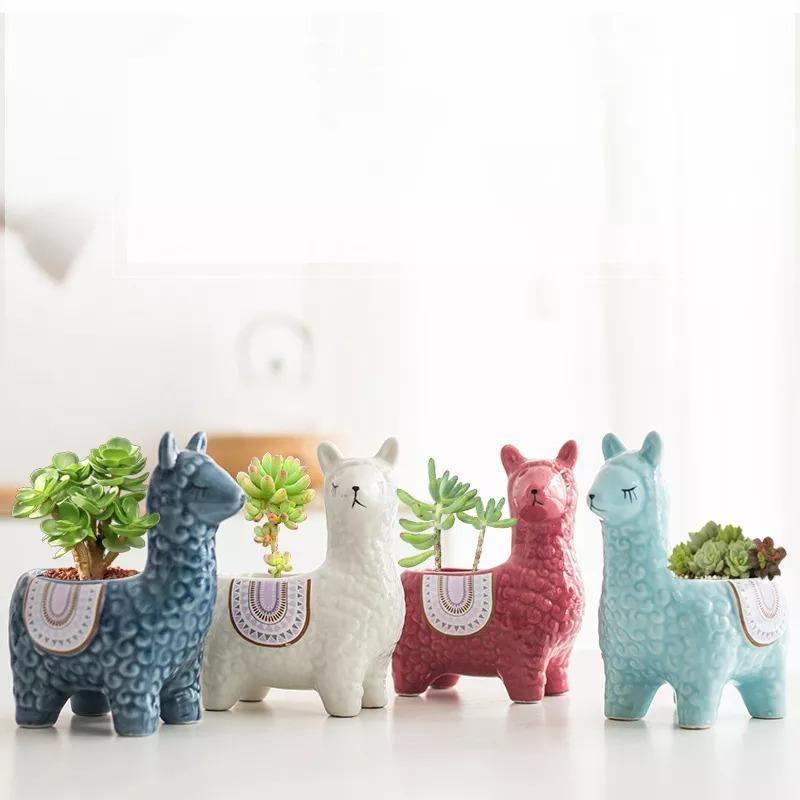 Alpaca Pottery Succulent Planter