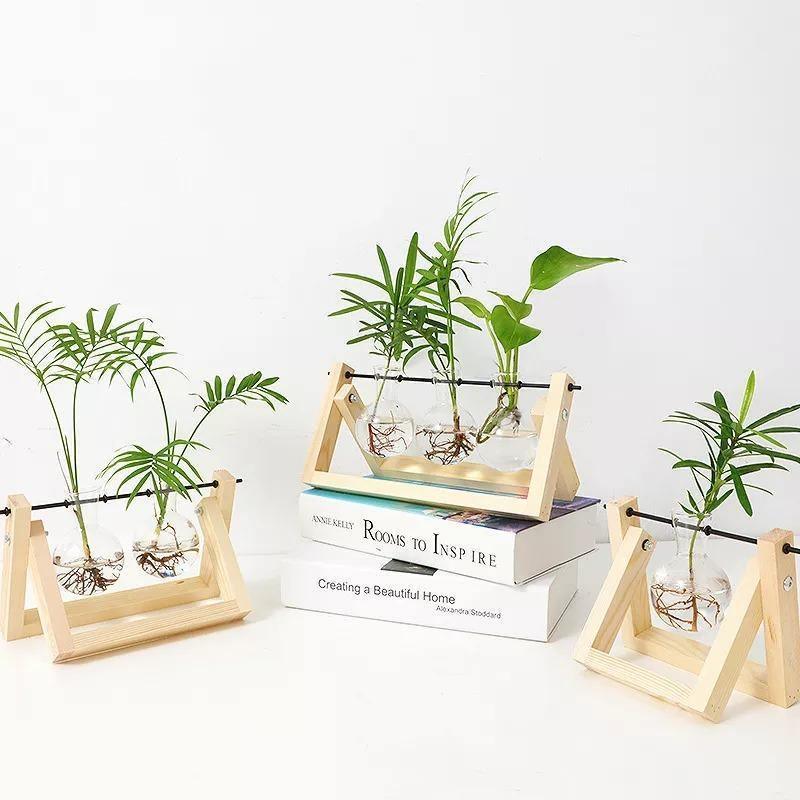 Glass Propagation Vase with A-Frame Wood Stand