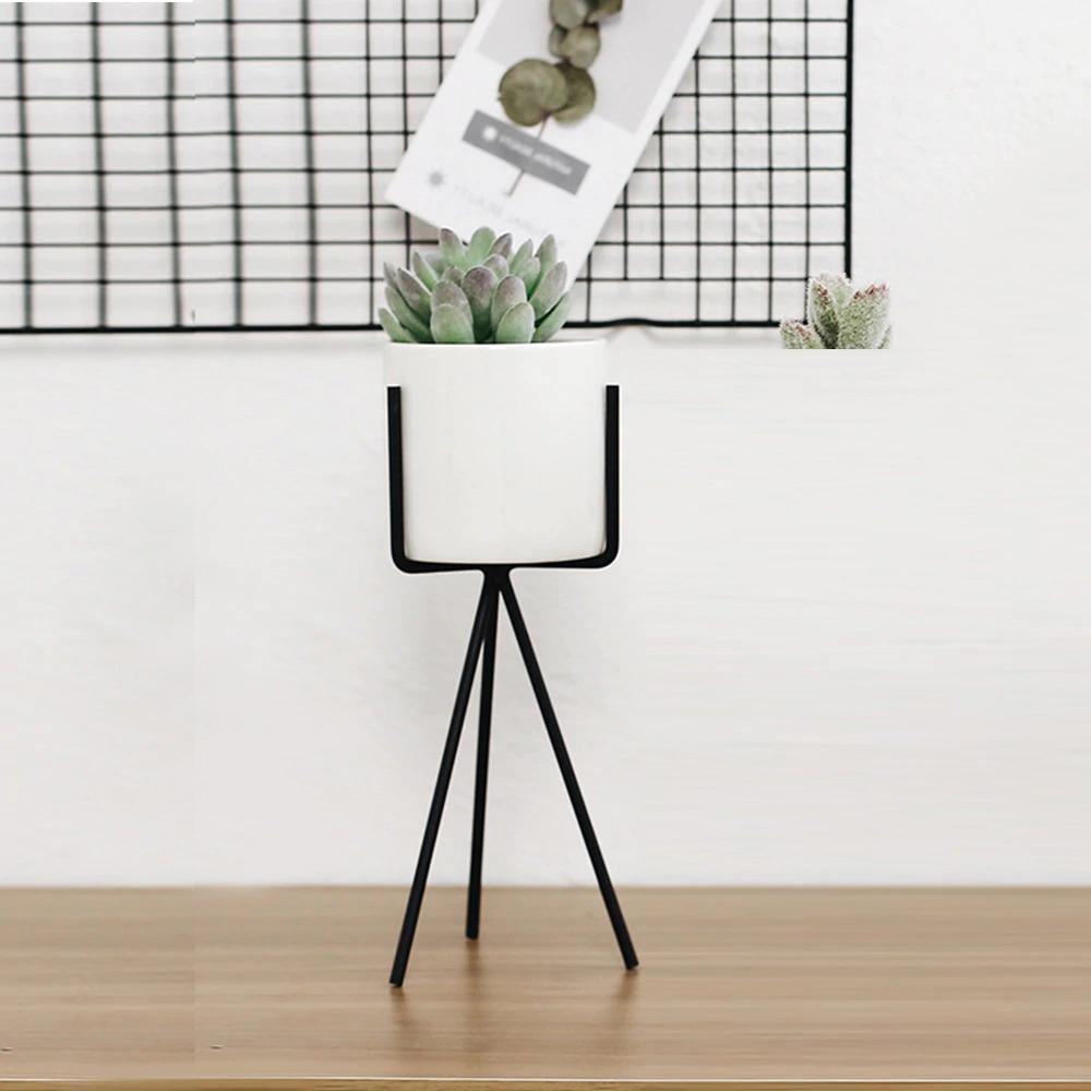 Oasis Ceramic Planter with Geometric Metal Stand