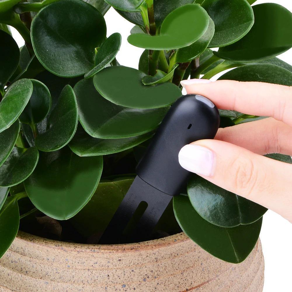 Intelligent Plant Water Meter and Wellness Sensor