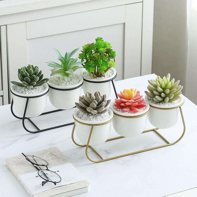 Metal Sleigh Succulent Trio