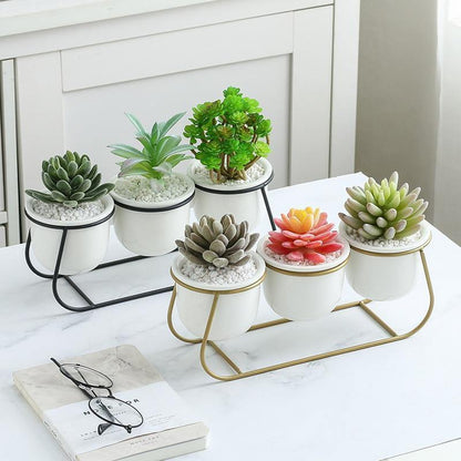 Metal Sleigh Succulent Trio