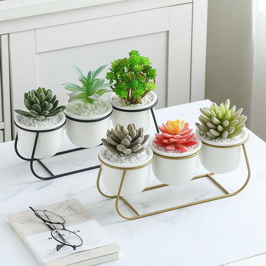 Metal Sleigh Succulent Trio