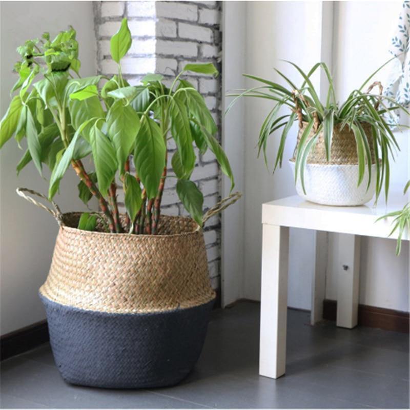 Artisan Rattan Planter or Storage Basket with Handles