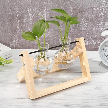 Glass Propagation Vase with A-Frame Wood Stand