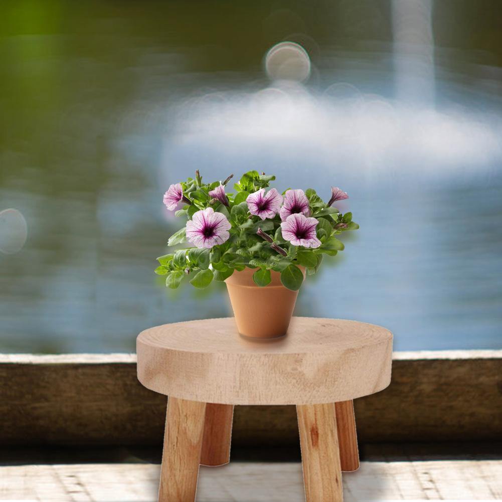 Wooden Plant Holder Seat