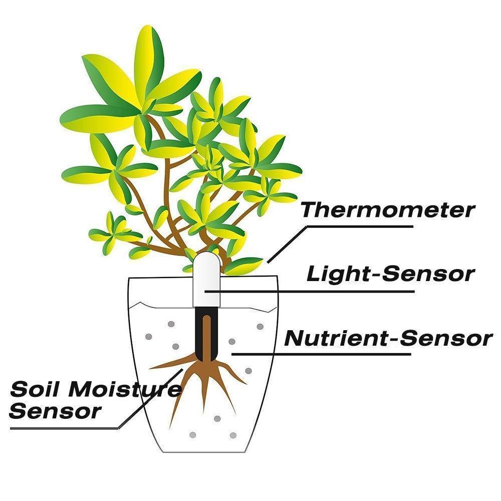 Intelligent Plant Water Meter and Wellness Sensor