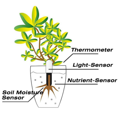Intelligent Plant Water Meter and Wellness Sensor