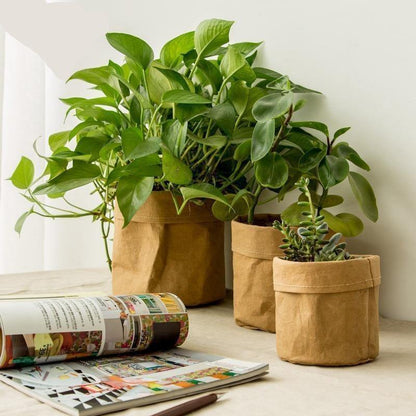 Water-Resistant Sustainable Paper Planter Pouch