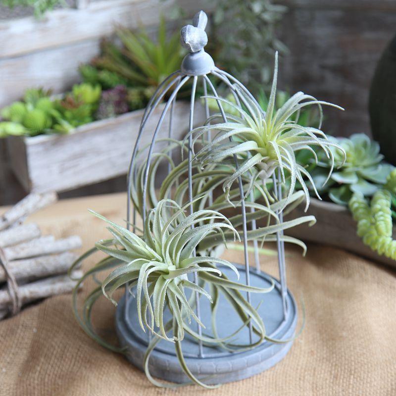 Artificial Air Plant
