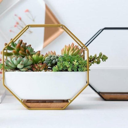 Hexa Frame Wall Planter
