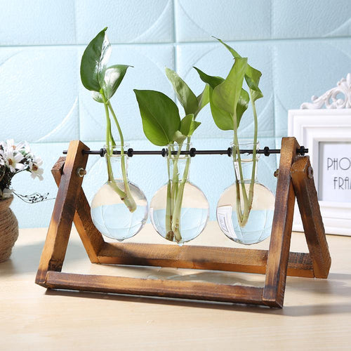 Glass Propagation Vase with A-Frame Wood Stand