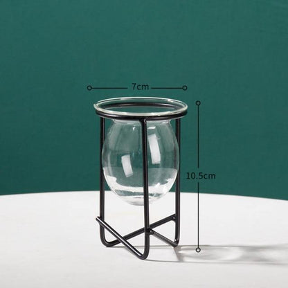 Modern Glass Plant Vase