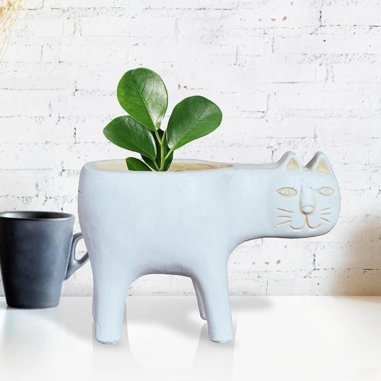 Purrfect Planter