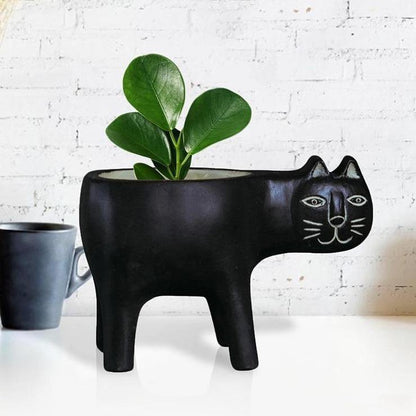 Purrfect Planter
